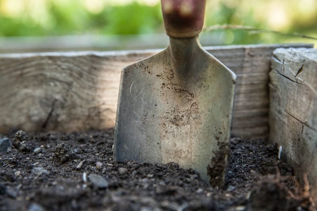 a trowel will help with planting in your garden