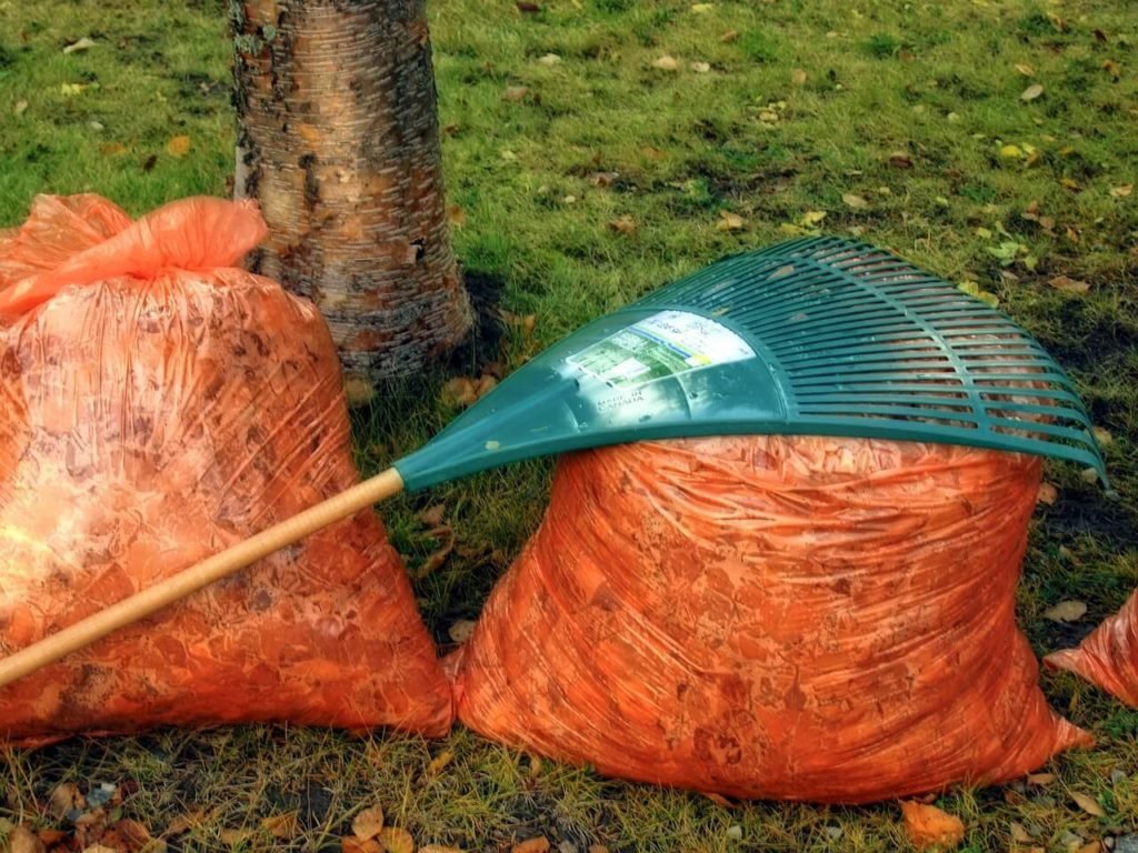 strong leaf bags will help you dispose of your dead leaves easily