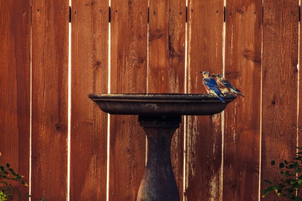 birdbaths are small but add both water and an attractive feature for wildlife