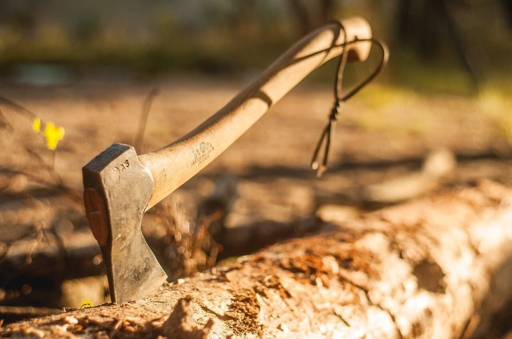 an ax can come in handy if you have trees or bushes alongside or within your garden