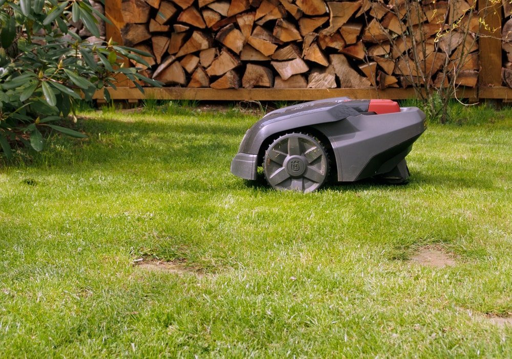 robotic lawnmowers are gaining in popularity