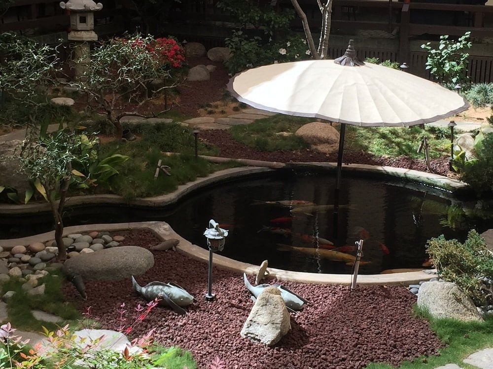 shaded koi pond with some very large koi