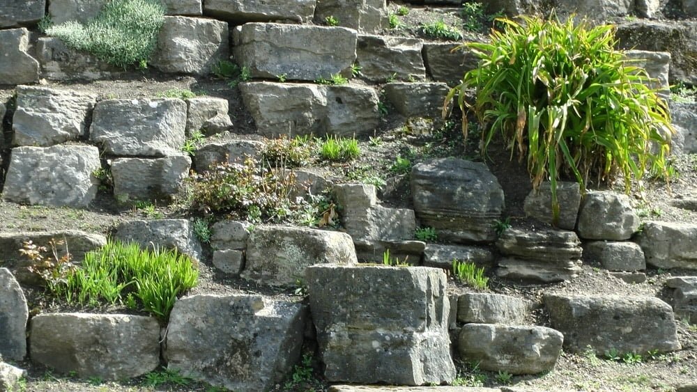 rock gardens look great, no matter their scale. This one is exceptionally large