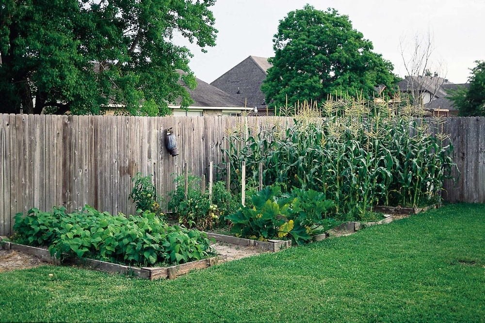 fence around a vegetable garden in the yard