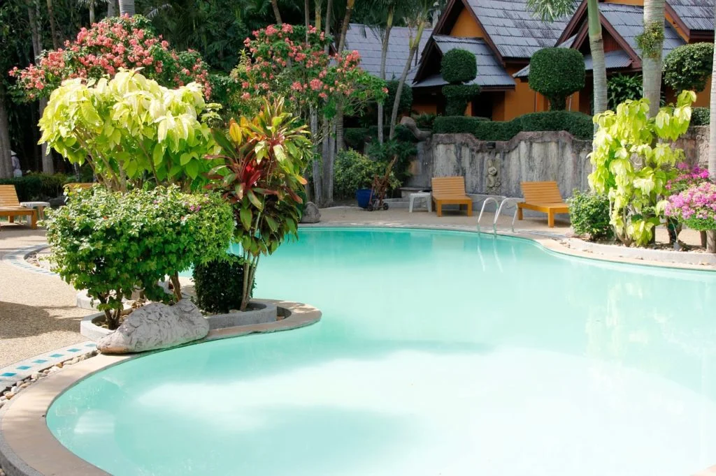 a variety of plants around a swimming pool