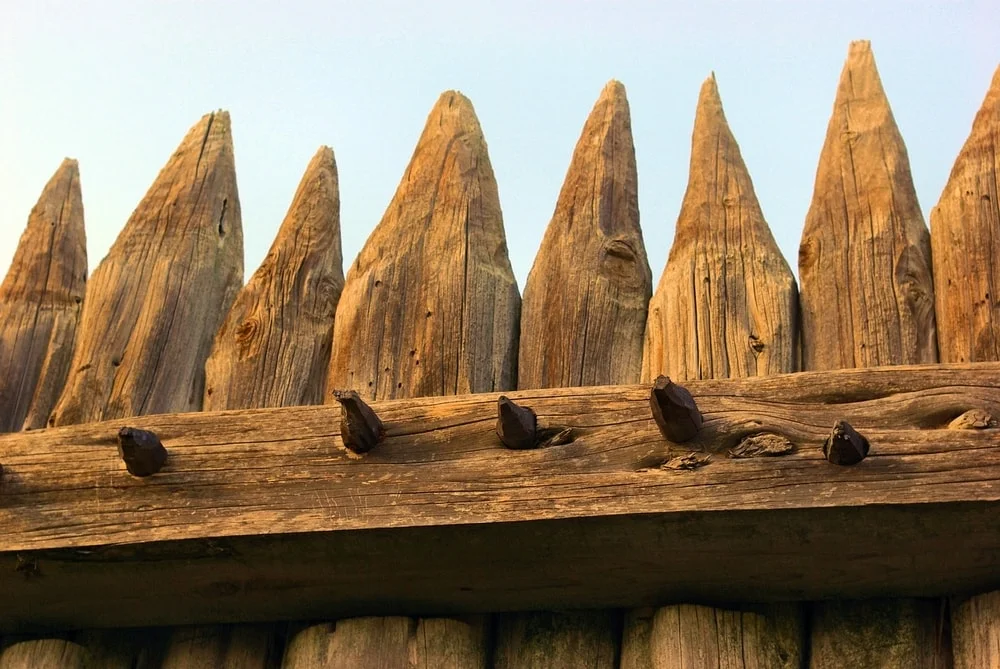a high fence or one deer can't see past will keep them out