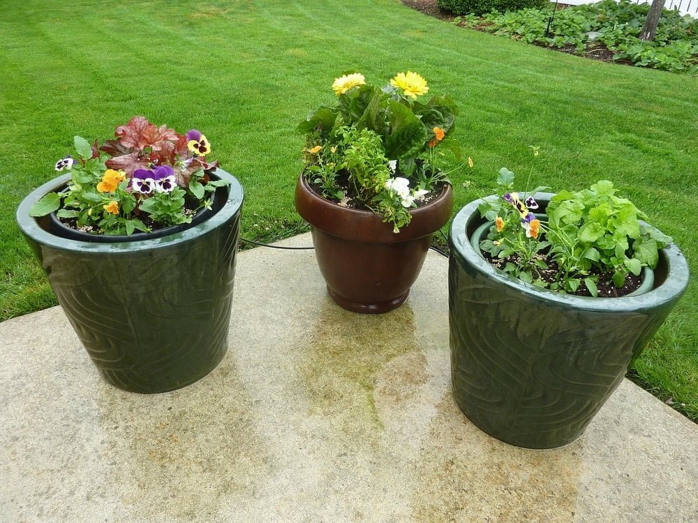 patio flower containers come in all shapes and sizes
