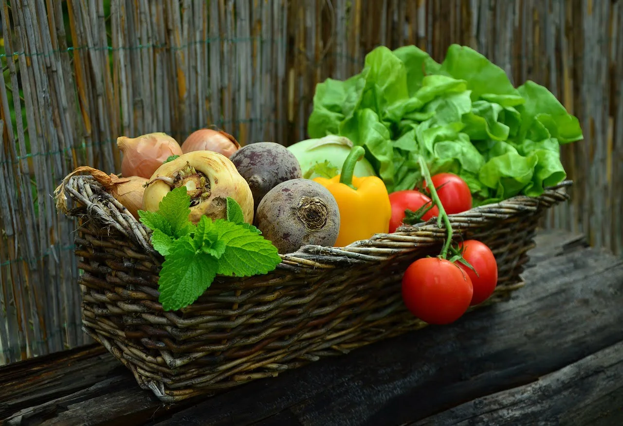 plant garden vegetables at the right time of year
