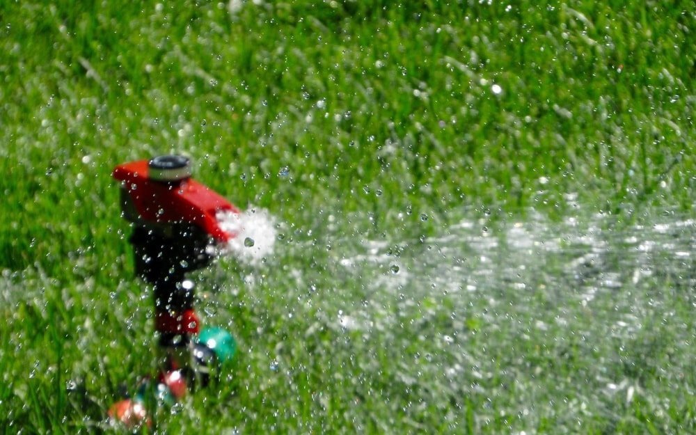 How Much And How Often To Water the Lawn - Yards Improved