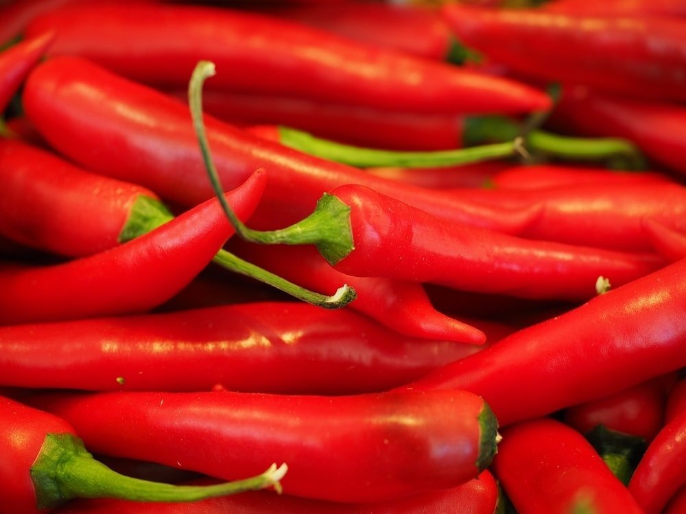 the "heat" of chilis is an irritant to bugs and can help keep them away