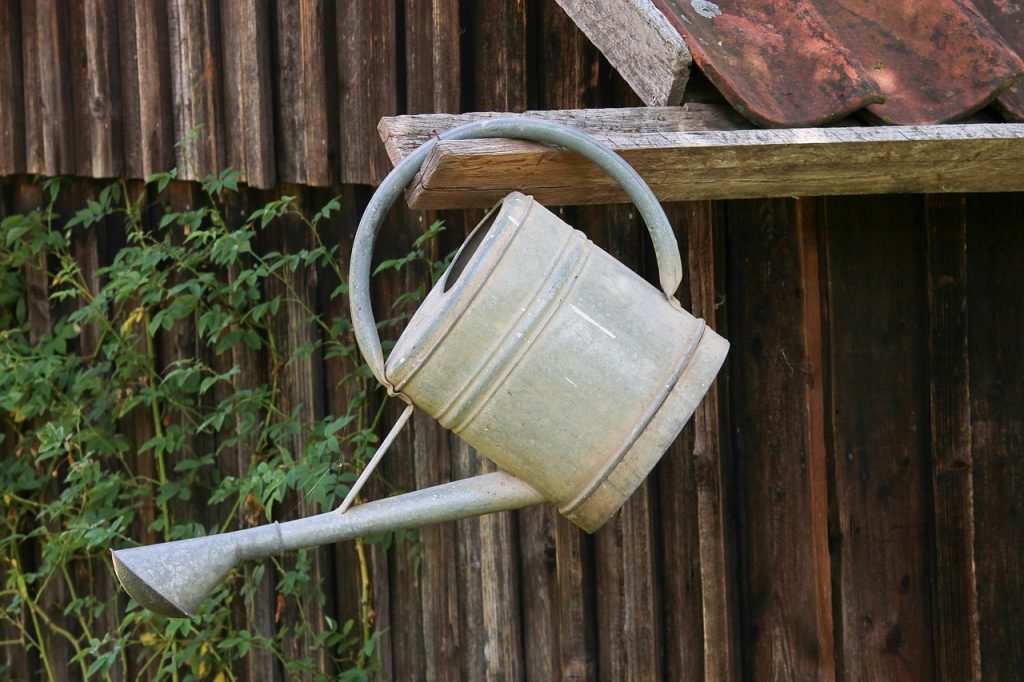 old-fashioned watering can