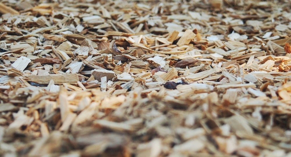 wood chips and bark are great mulch materials
