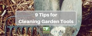 9 Tips For Cleaning Garden Tools - Yards Improved