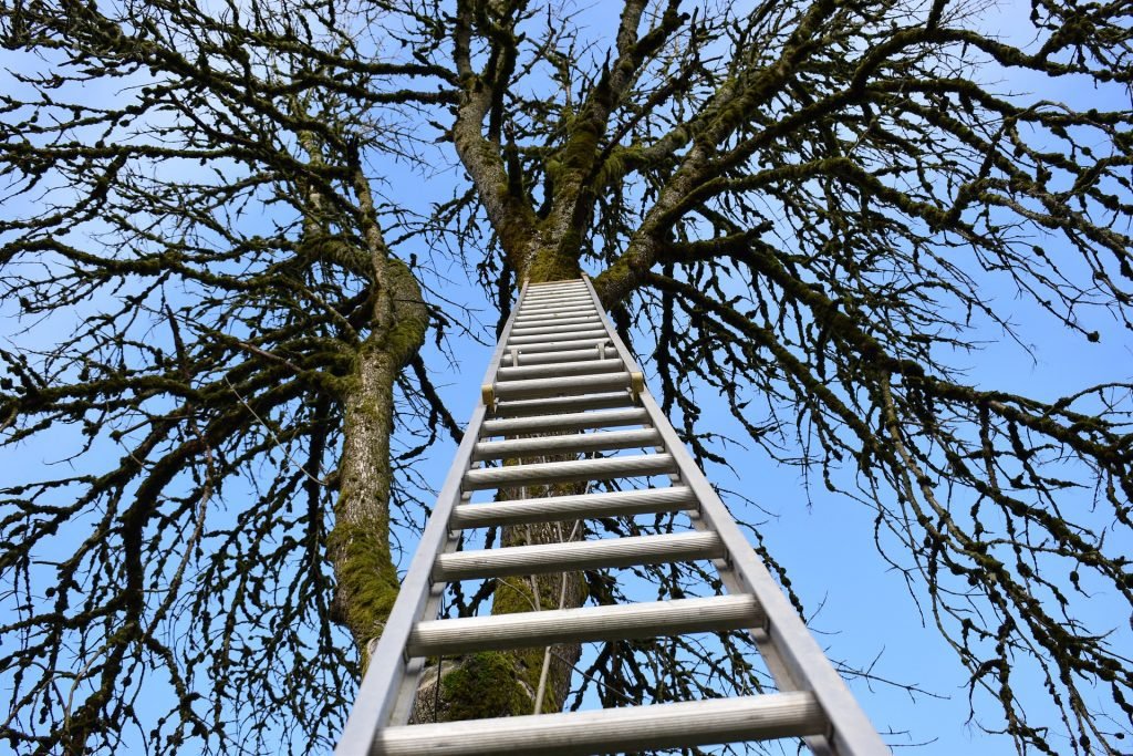 be sure your ladder is long enough for the task at hand