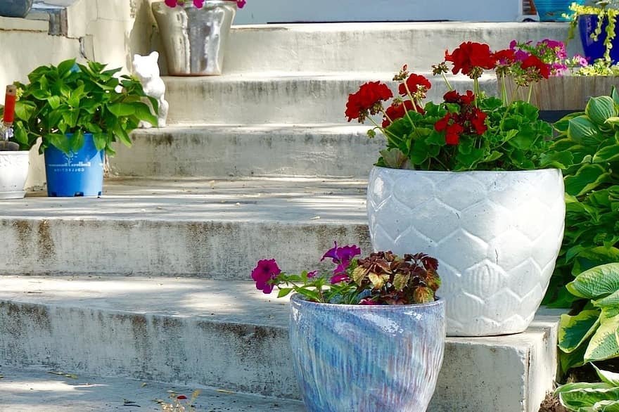 planters on these steps show that the containers come in a variety of styles
