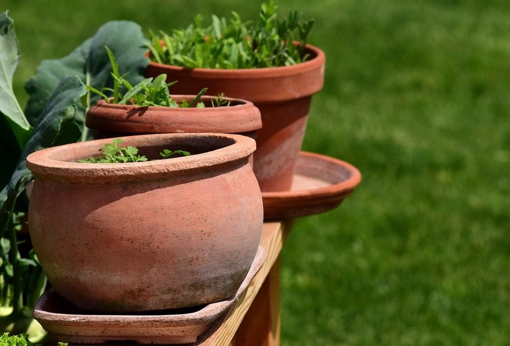 terra cotta planters look traditional