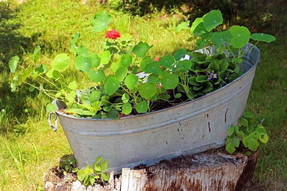 an old wash bin converted to a planter