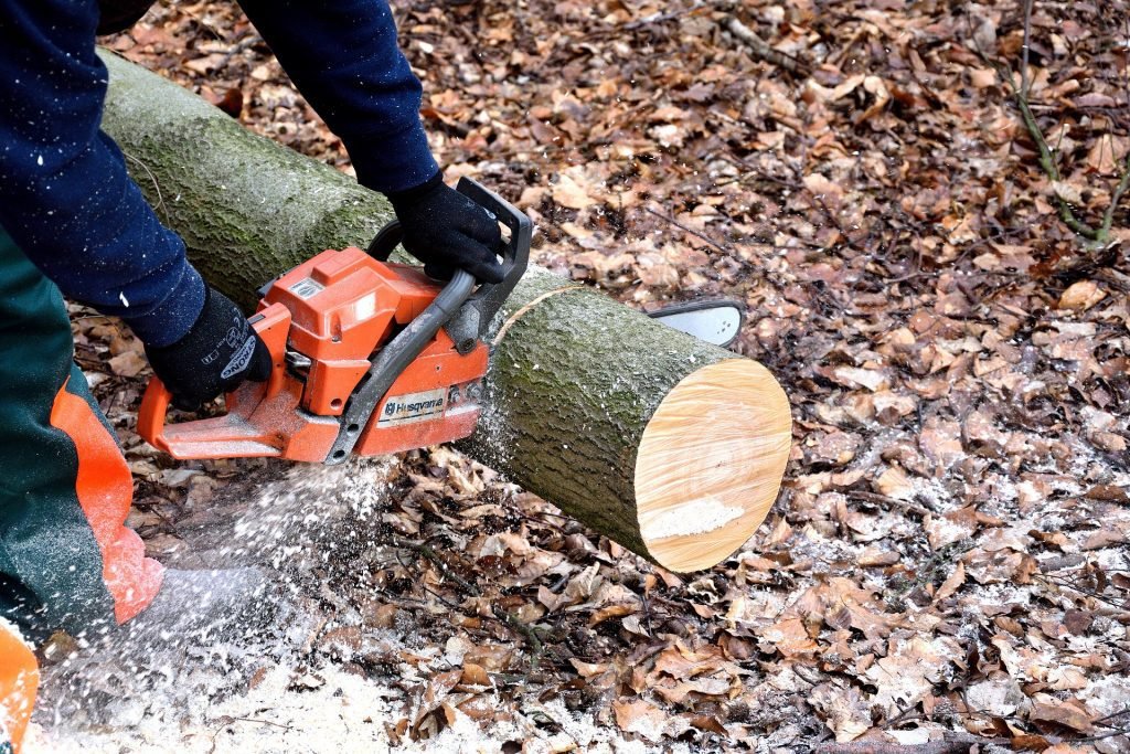 proper chainsaw maintenance will keep your tool running well