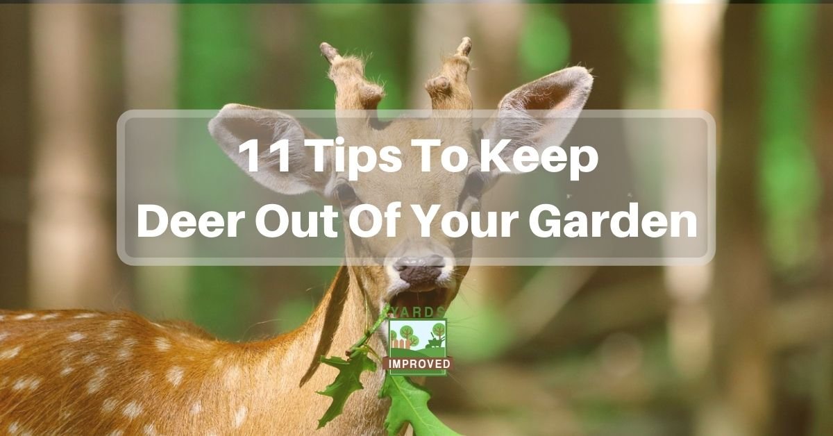 Keeping Deer Out Of Your Garden, How To Keep Deer Out Of Your Garden