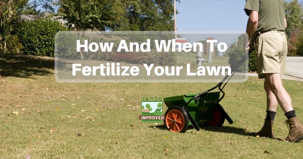 How To Fertilize Your Lawn - Yards Improved