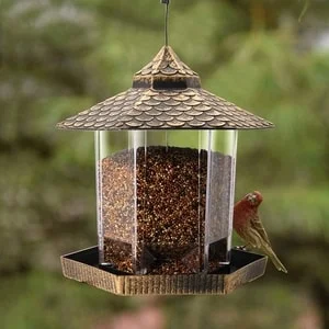 best hopper bird feeder