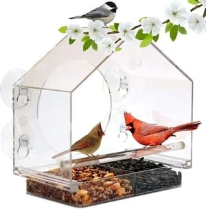 see-through bird feeder for windows