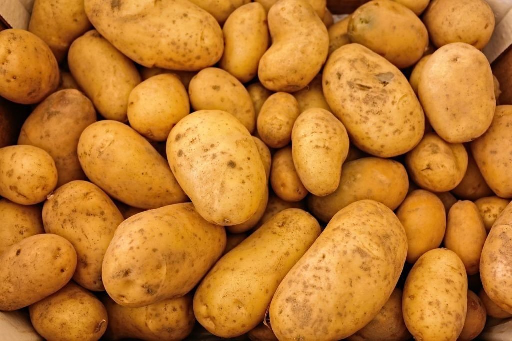acidic soil is great for potatoes