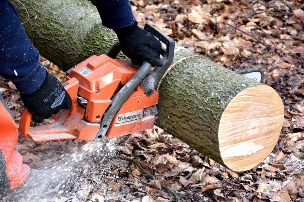 person cutting tree into logs with a chainsaw