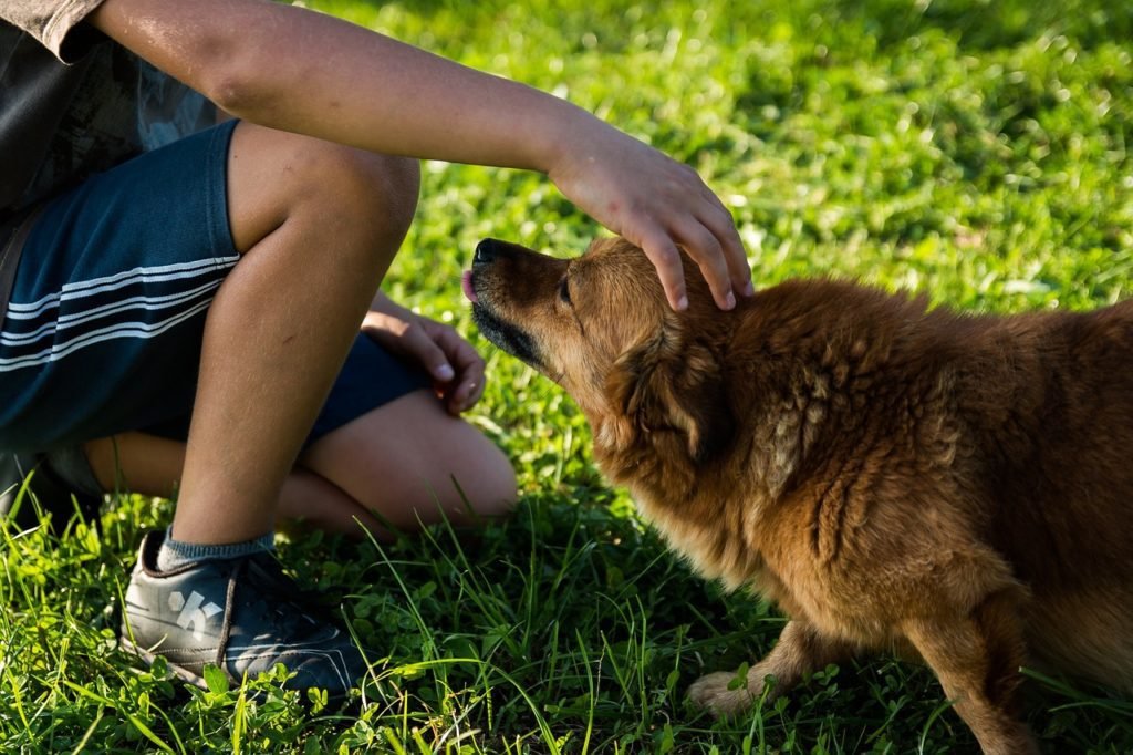 a person kneeling in the grass petting his dog's head