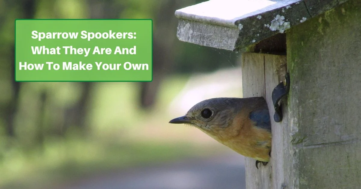 sparrow spookers help scare unwanted birds from taking over birdhouses
