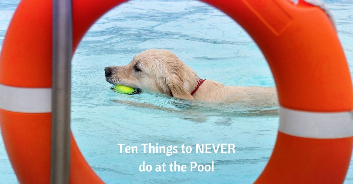 dog swimming with tennis ball in its mouth; a life preserver frames the image. Text on the image reads Ten things to never do at the pool