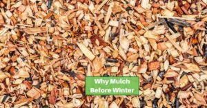 a pile of wood chips serving as mulch. text reads, why mulch for winter