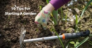 a hand in a gardening glove works the tilled soil; a garden hoe lies to the side. text reads, 10 tips for starting a garden