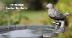 a birdbath with clean water; the birdbath has a small statuette of a bird perched on the edge