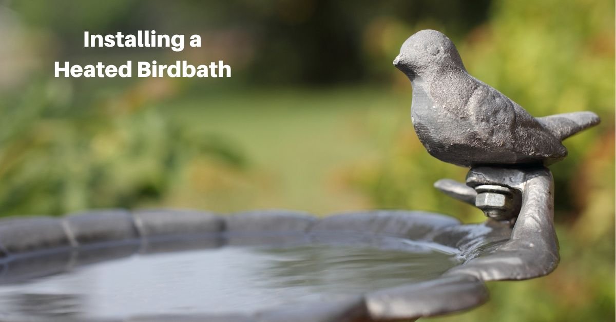 a birdbath with clean water; the birdbath has a small statuette of a bird perched on the edge