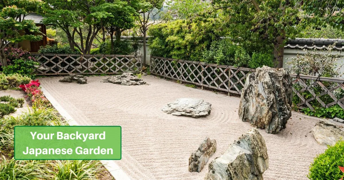 a small japanese garden with rocks and sand, and some plants surrounding those