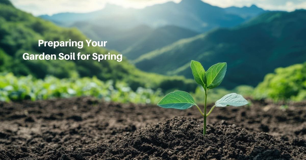 a small garden plot with a single seedling sprouting, against a background of beautiful mountains at sunrise. Text reads, preparing your garden soil for spring